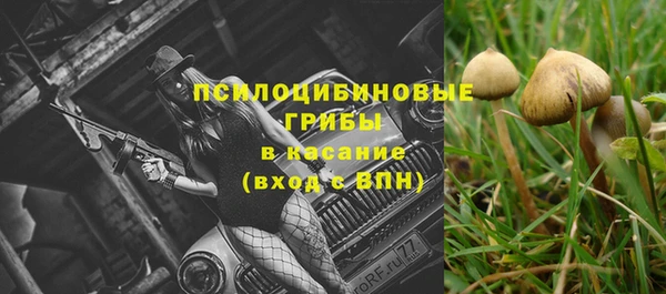 ECSTASY Каменногорск
