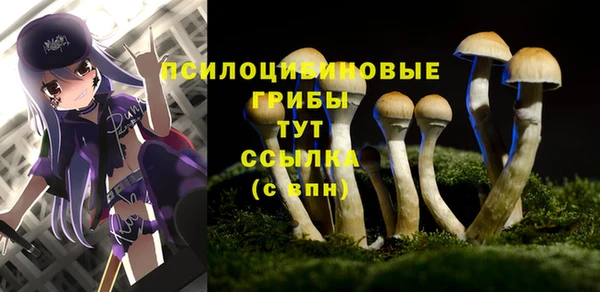 ECSTASY Каменногорск