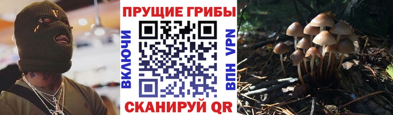 Псилоцибиновые грибы ЛСД  Купить закладки  Семёнов 
